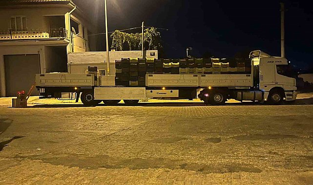 Kardeşköy'de bamya sezonu hız kesmiyor