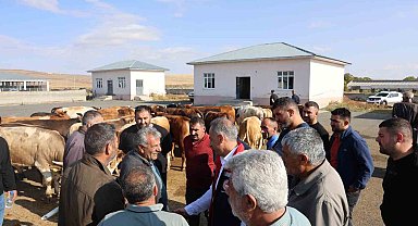 Kars Hayvan Pazarı açıldı