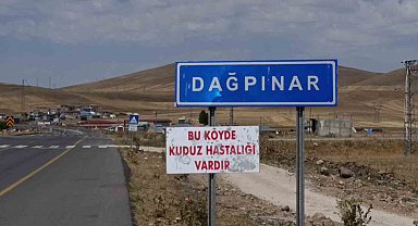 Kars'ta kuduz vakası: Bir belde karantinaya alındı