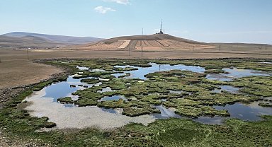Kars'ta kuraklığın vurduğu Çalı Gölü'nü kuşlar terk etti