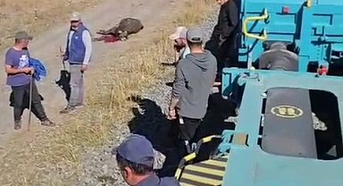 Kars'ta yük treninin çarptığı 5 hayvan telef oldu