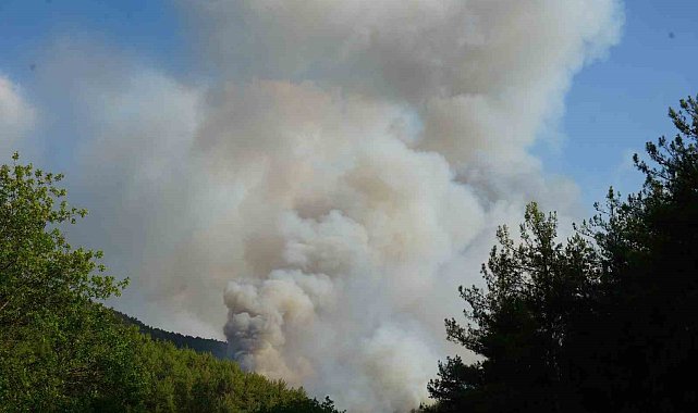 Kastamonu Valiliği'nden açıklama: Yangın sebebiyle tahliye edilen köy sayısı 6'ya çıktı