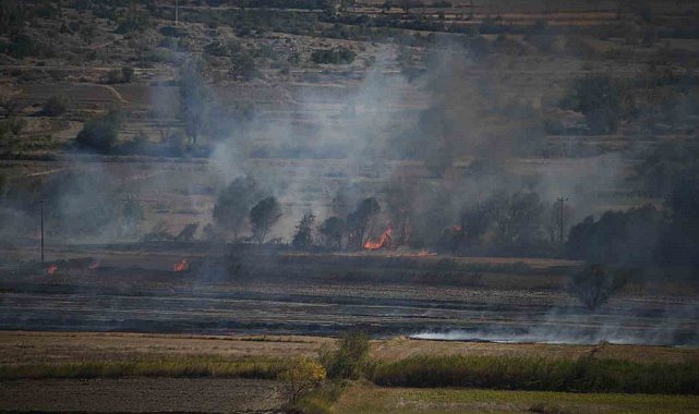 Kastamonu'da çeltik tarlasında çıkan yangın söndürüldü