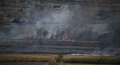 Kastamonu'da çeltik tarlasında çıkan yangın söndürüldü