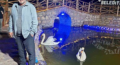 Kastamonu'da incir ağacında düşen vatandaş hayatını kaybetti