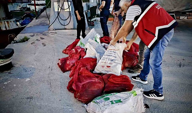 Kastamonu'da kaçak avlanan 142 kalkan balığına el konuldu