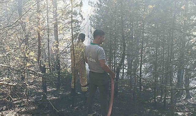 Kastamonu'da orman yangını: 10 dönümlük alan zarar gördü