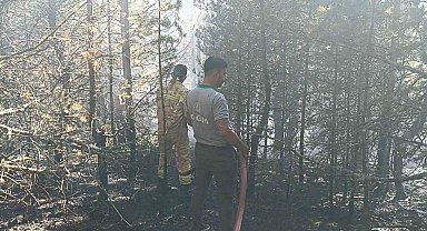 Kastamonu'da orman yangını: 10 dönümlük alan zarar gördü