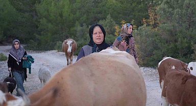 Kastamonu'da orman yangını kontrol altına alındı, vatandaşlar köylerine kavuştu