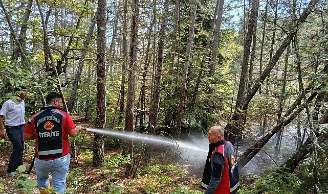 Kastamonu'da ormanlık alanda çıkan yangın ekiplerin müdahalesiyle söndürüldü