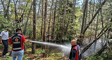 Kastamonu'da ormanlık alanda çıkan yangın ekiplerin müdahalesiyle söndürüldü