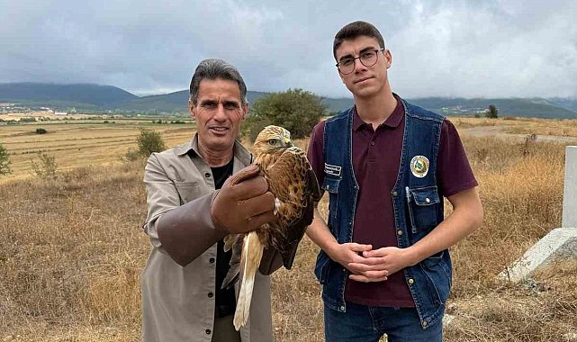 Kastamonu'da yaralı halde bulunan şahin tedavi altına alındı