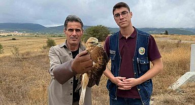 Kastamonu'da yaralı halde bulunan şahin tedavi altına alındı