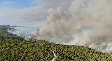 Kastamonu'daki orman yangını sürüyor: Kuvvetli rüzgar yangının enerjisini arttırdı