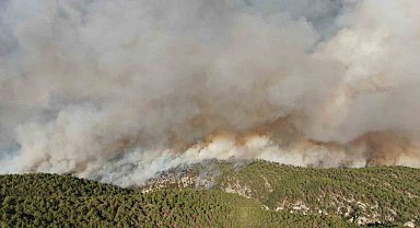 Kastamonu'daki orman yangınlarında 2 bin 736 hektar alan zarar gördü