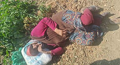 Kaybolan 74 yaşındaki kadın bulundu