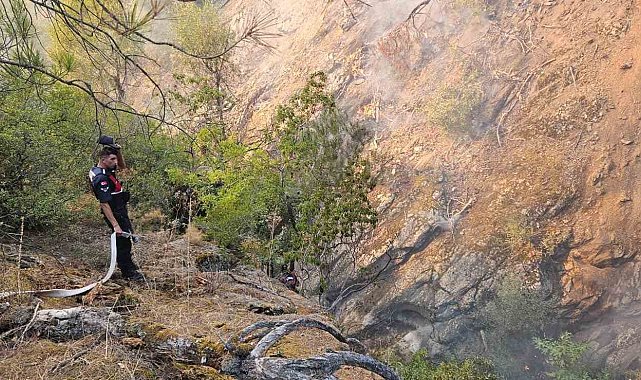 Kepsut'ta başlayan yangına müdahale sürüyor