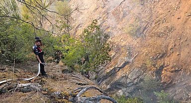 Kepsut'ta başlayan yangına müdahale sürüyor