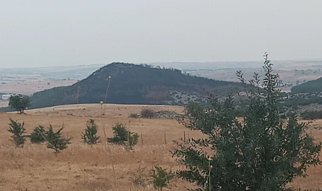 Keşan Sivritepe'ye fidan dikimi müjdesi... 11 Kasım'da yeşillenecek