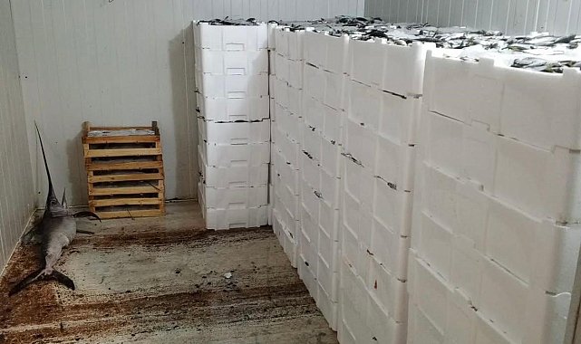 Kilolarca balığa el konuldu
