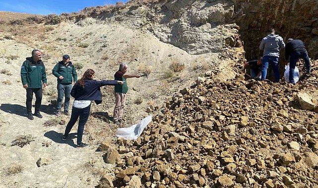 Kırklartepe'deki arazi toplulaştırma ve TİGH çalışmaları incelendi