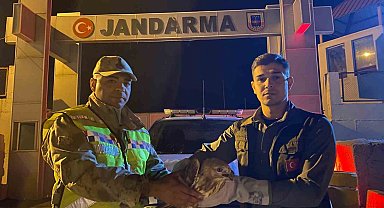 Kızıl şahin emin ellerde