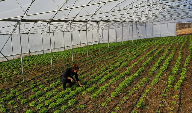Kocaeli Büyükşehir'den çiftçilere modern sera desteği