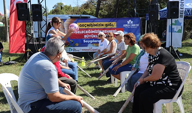 Kocaeli İzmit'te asırlık çınarlar Sarısu'da buluştu