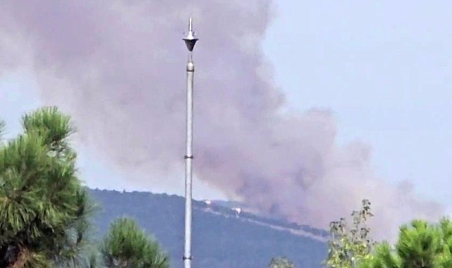 Kocaeli'de ormanlık alanda yangın çıktı