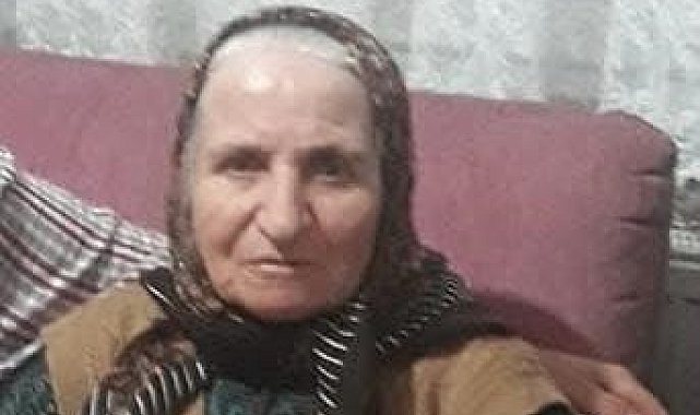 Kocaeli'de otomobilin çarptığı yaşlı kadın hayatını kaybetti