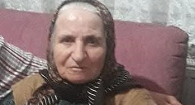 Kocaeli'de otomobilin çarptığı yaşlı kadın hayatını kaybetti