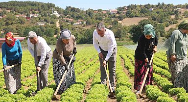 Kocaeli'de tarıma 1 milyar TL'lik destek