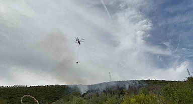 Kocaeli'deki orman yangını 1 saatte kontrol altına alındı