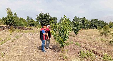 Konakbaşı köyündeki dut bahçesinde hastalık ve zararlı kontrolleri yapıldı