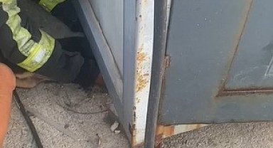 Konteyner altında sıkışıp mahsur kalan yavru köpeği itfaiye ekipleri kurtardı