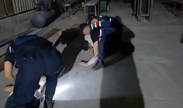 Konteynere iklimlendirme sistemi kurup uyuşturucu yetiştirdiler