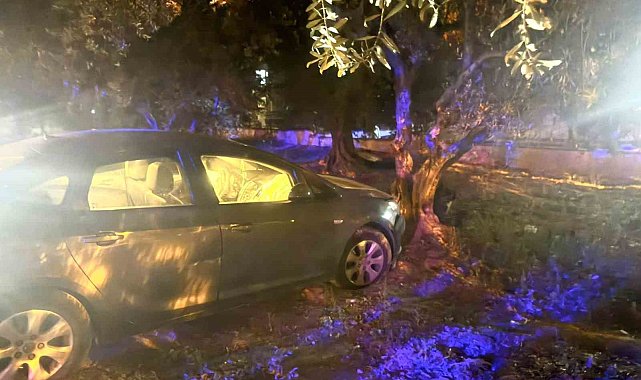 Kontrolden çıkan otomobil zeytin bahçesine girdi: 1 yaralı