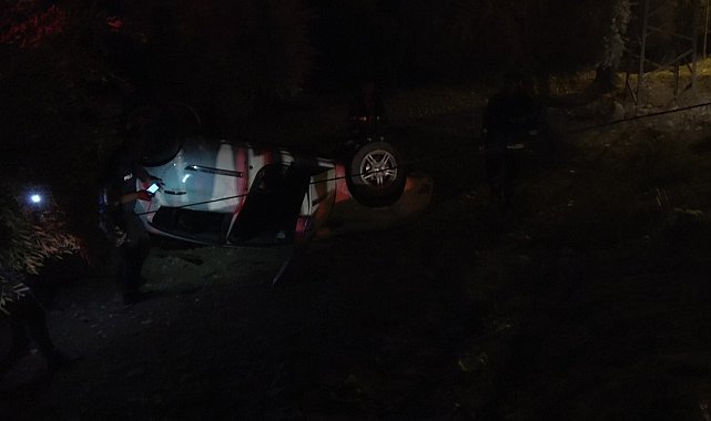 Kontrolden çıkan otomobil zeytin tarlasına girdi: 1 yaralı