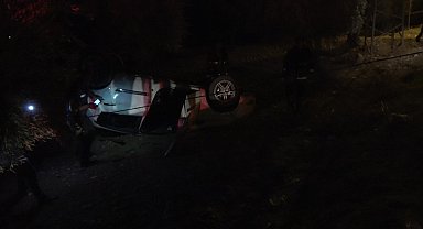 Kontrolden çıkan otomobil zeytin tarlasına girdi: 1 yaralı