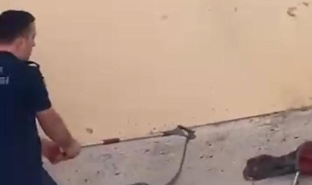 Konut bahçesinde 1,5 metre uzunluğunda yılan görüldü