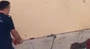 Konut bahçesinde 1,5 metre uzunluğunda yılan görüldü