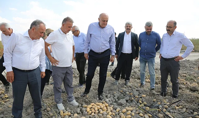 Konya Şeker'den yerli patates tohumu müjdesi... 2027'de dışa bağımlılık bitecek