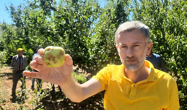 Konya'da dolu etkili oldu, bahçeler büyük zarar gördü
