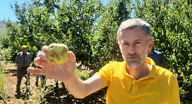 Konya'da dolu etkili oldu, bahçeler büyük zarar gördü
