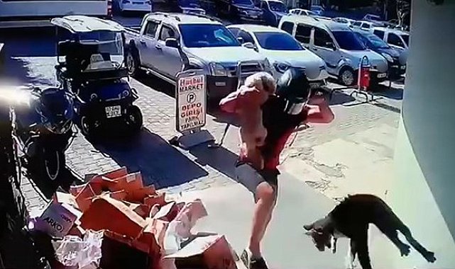 Köpeğiyle kavga eden kediyi tekmeyle metrelerce havaya fırlattı