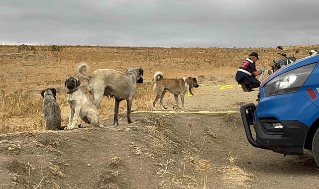 Köpek tartışmasında komşusunu öldüren zanlı tutuklandı