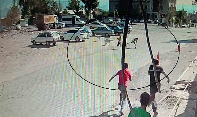 Köpeklerden kaçarken yere yığılan çocukların yardımına vatandaşlar yetişti