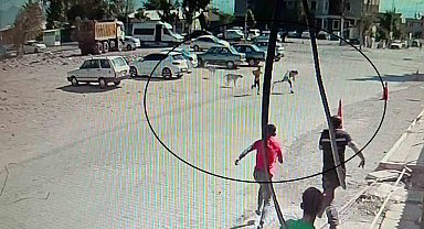Köpeklerden kaçarken yere yığılan çocukların yardımına vatandaşlar yetişti
