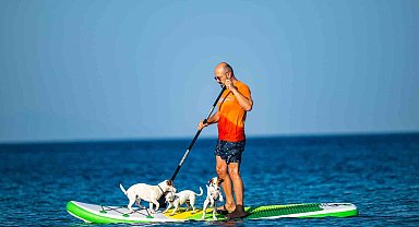 Köpekleriyle deniz keyfi