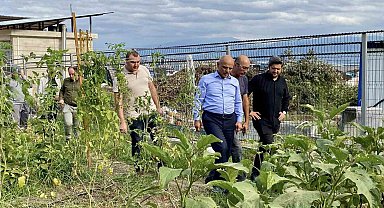 Körfez'de ata tohumlarının ilk hasadı yapıldı